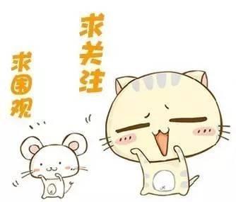 VAR技术专治各种不服，不是点球，伊朗遭遇全新情况