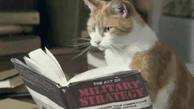 夏天漂亮的裙子40岁女人,40条适合夏天的裙子