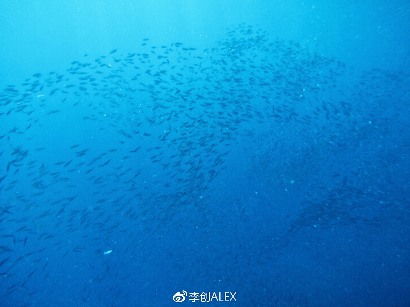 飞宿务直航城市,宿务到内地的直航航班