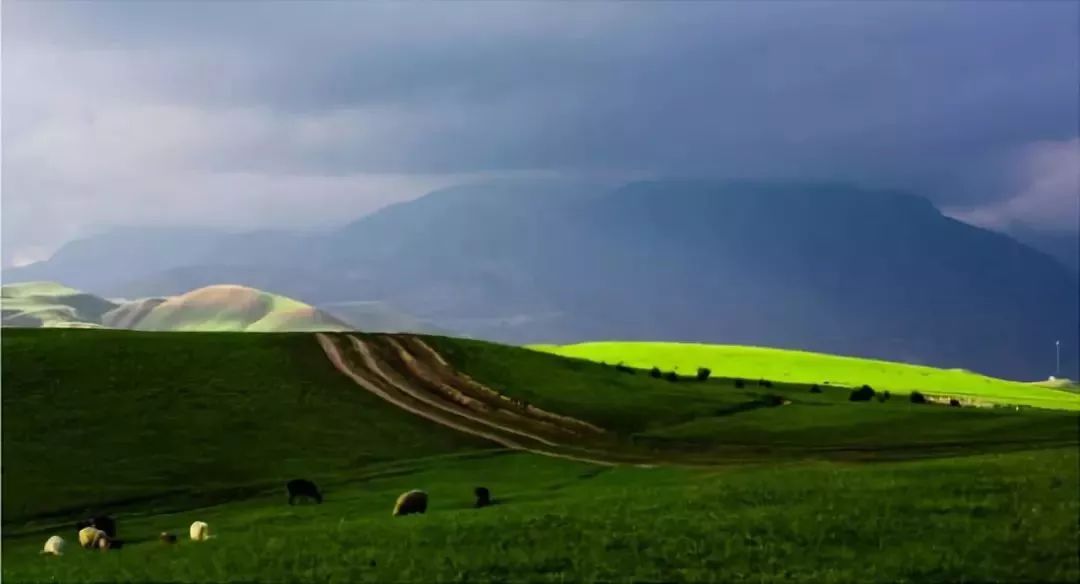 新疆哈密风景最美的地方,新疆哈密值得去的景点排名第一