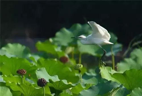 星空露营夜景,北京适合露营看星空的地方