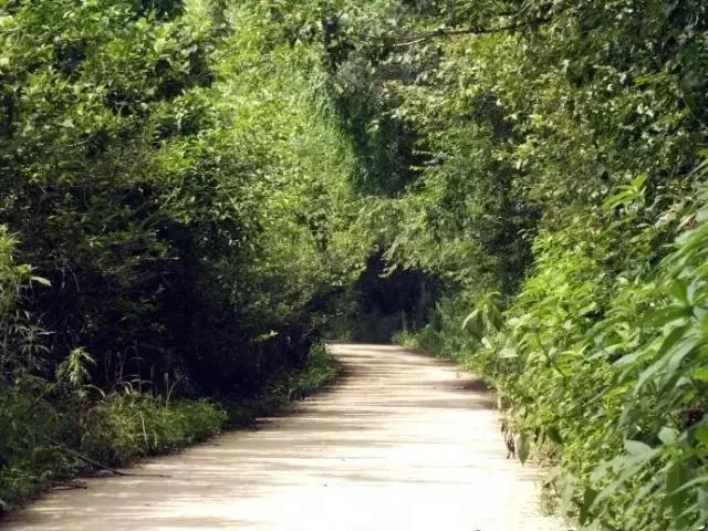 避暑攻略｜长春周边最美的8座山，最远不超过2小时，一起去登高！