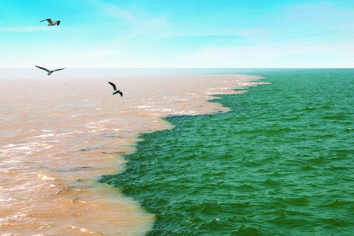 山东东营垦利黄河入海口,黄河入海垦利区