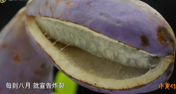 豆瓣8.9高分,豆瓣8.9评分经典