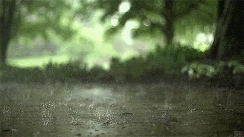 诗词中不一样的雨,诗词中的十三种雨