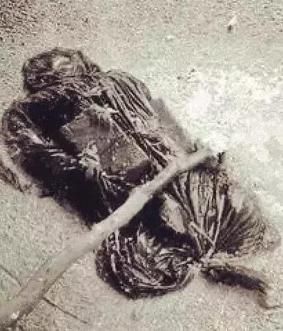 史上最变态的杀人案一年连杀76人,05年杀害13人真实案件