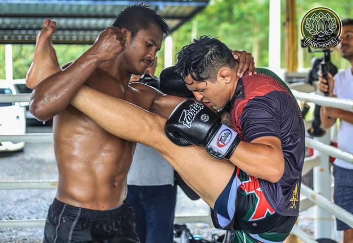 冠军有一个亚军有几个,冠军只有一个标吗