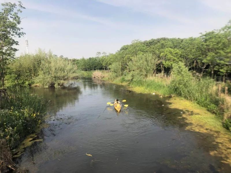旅行水上运动皮划艇,冲浪水上运动皮划艇图片