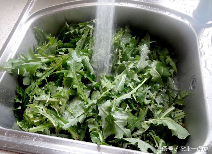 农村的蔬菜真好吃,这种菜不到2元钱竟是天然抗癌菜