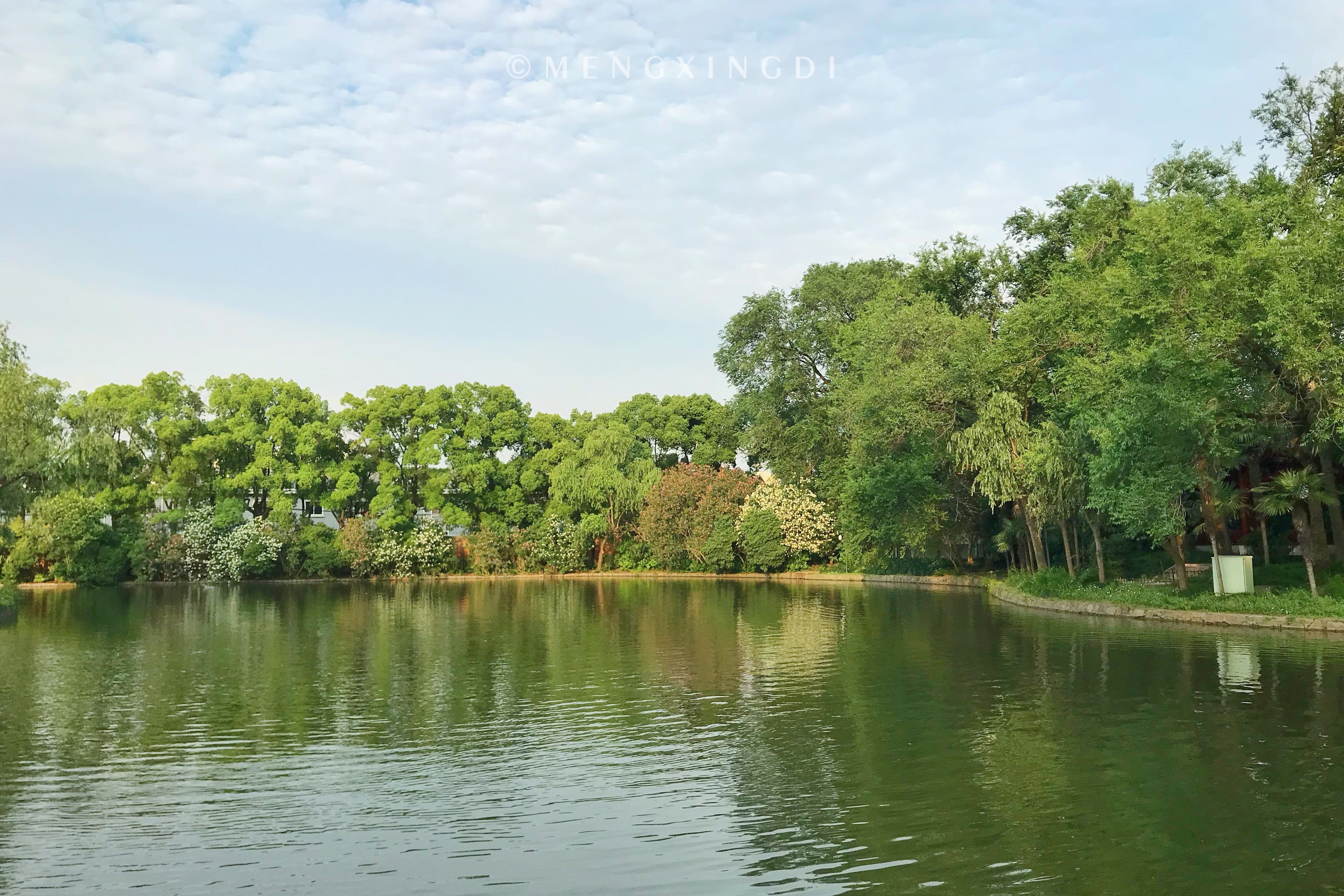 上海消暑园林好去处,上海初秋的长风公园