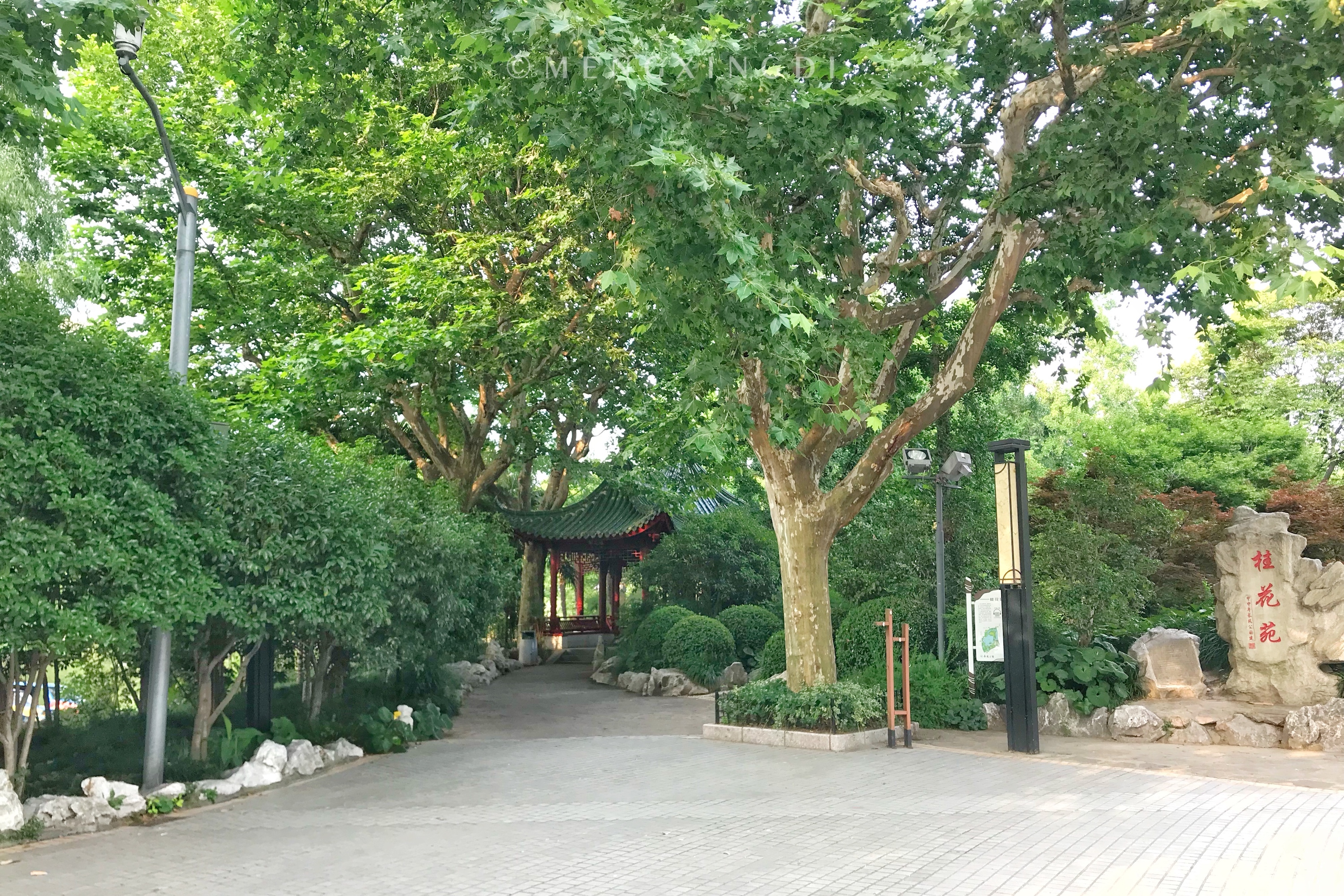 上海消暑园林好去处,上海初秋的长风公园
