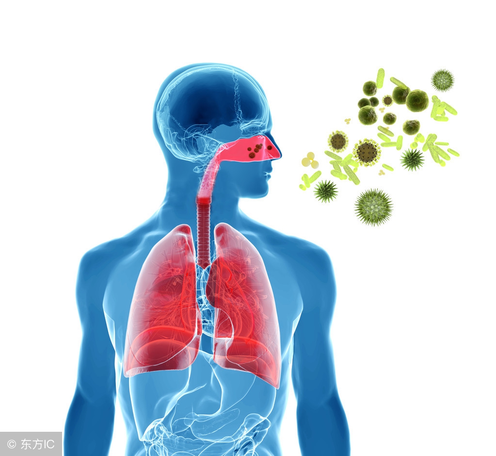 过敏性鼻炎别灰心，学会这一招，在家就能轻松防治鼻炎