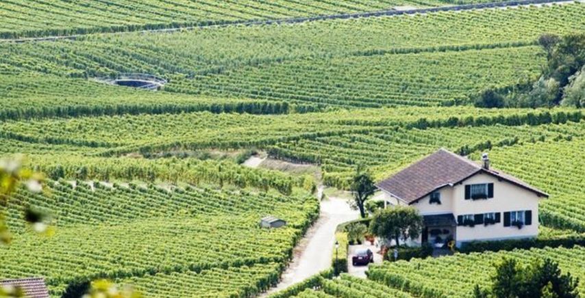 世界杯为何冠军都是足球大国,足球强国为什么都是发达国家