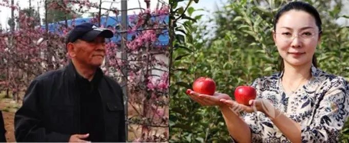 总有一款适合你春耕备耕进行中,现代农业案例分享