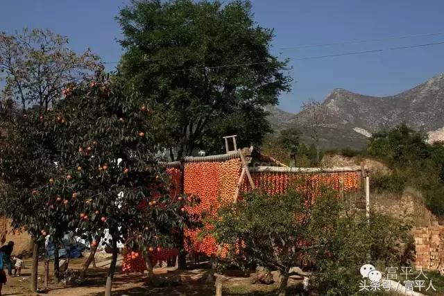 我的故乡陕西渭南市富平县,我的故乡陕西富平