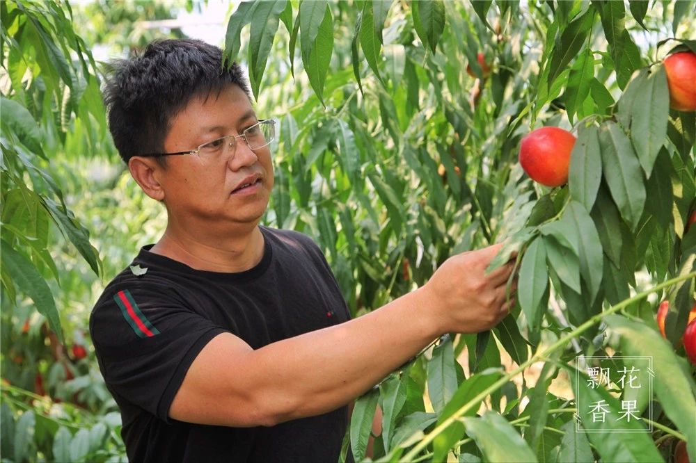 做水蜜桃味的甜点,做一个水蜜桃饮料