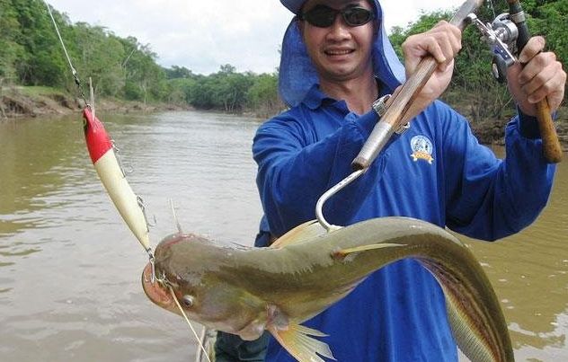 鲶鱼用什么最好钓,大鲶鱼用什么钓最好