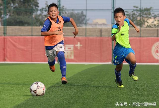 青训足球观察,足球青训观察完整视频