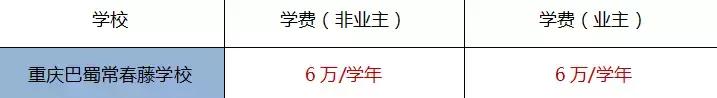 重庆民办高中学费2022年收费标准,2019民办学校的学费重庆初中