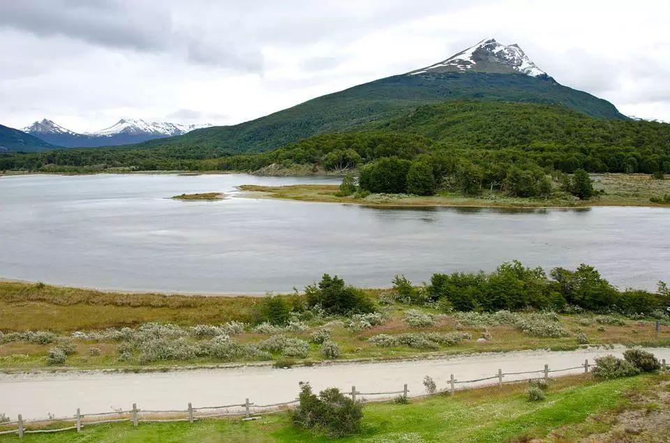 世界杯决赛潘帕斯雄鹰高卢,格子军团vs潘帕斯雄鹰复仇之刃