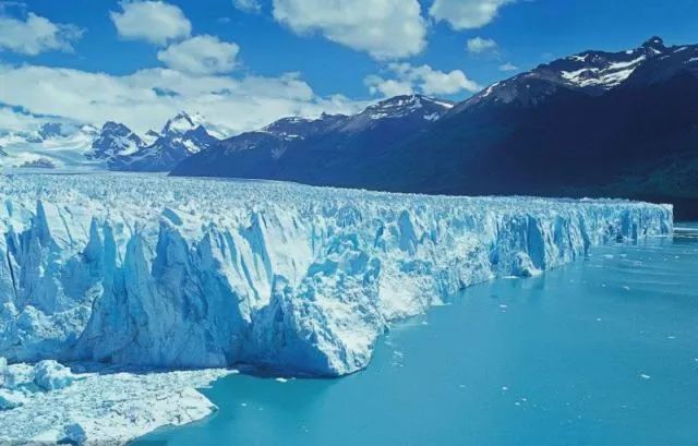 世界杯决赛潘帕斯雄鹰高卢,世界杯潘帕斯进球