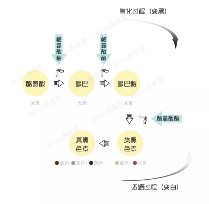 25岁熬夜用什么护肤品,25岁熬夜蜡黄肤色不均抗老