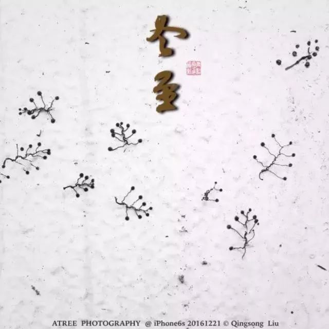 夏至在最短的夜陪你做最长的梦,夏至是白天对你思念最长的一天