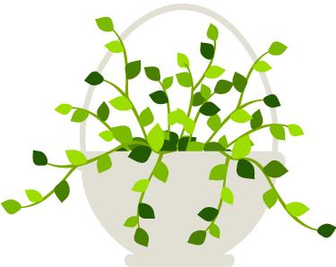 日本百年国民品牌，销量超过100000000！用了它夏天再也没蚊子