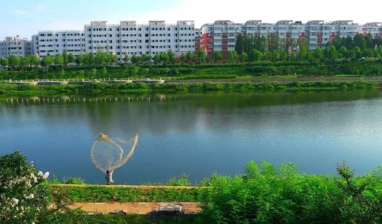 厉害了，驻马店！又被国务院点名表扬！城市发展大变化，惊艳全国……