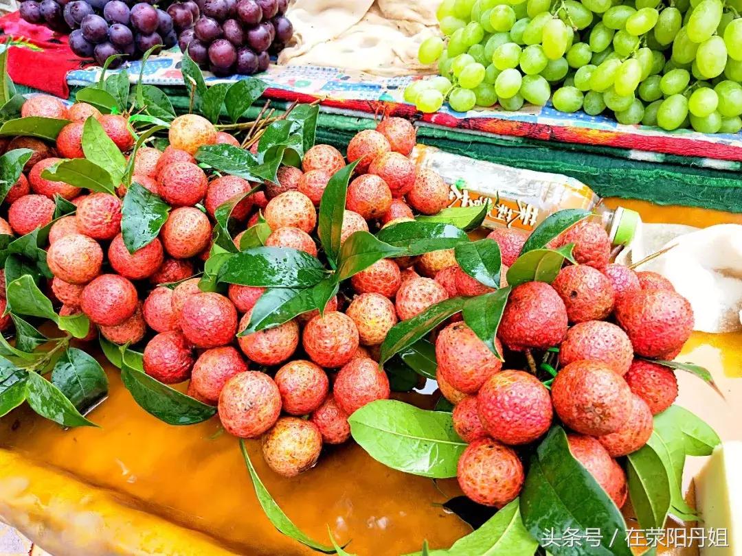 荥阳明天的温度,荥阳天气温度是多少