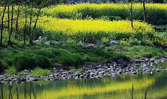 茶人茶话完整版,贾平凹茶