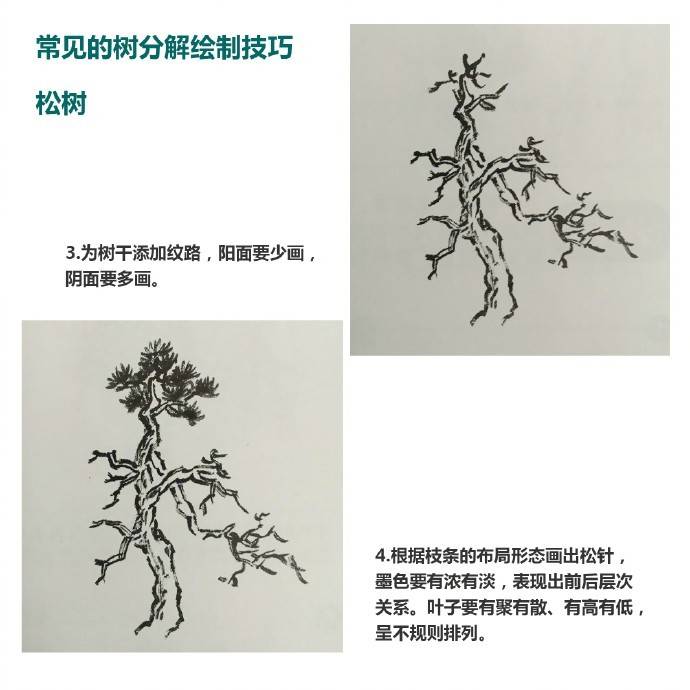 零基础学国画树干的画法视频,零基础画树教程