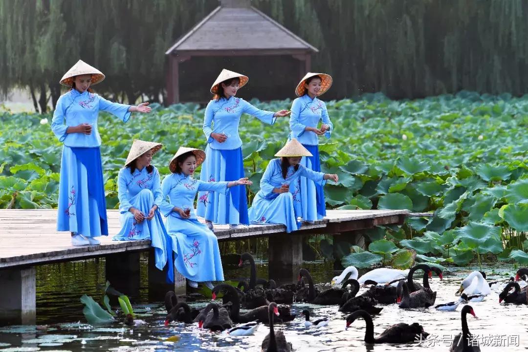 台儿庄古城免费政策包括哪些,台儿庄古城五区一市免费