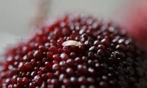 杨梅别只用清水洗教你正确方法,杨梅怎么吃是正确的方法