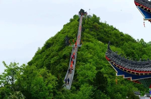 最美县域榜单2021,2020甘肃最美县域榜单