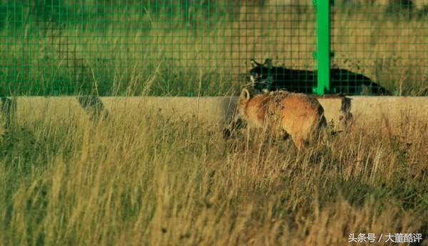 “北青旅居大夏房车汇”特色体验游，走进锡林郭勒风情马镇