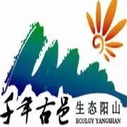 世界杯竞彩停售,竞彩比赛突然停售