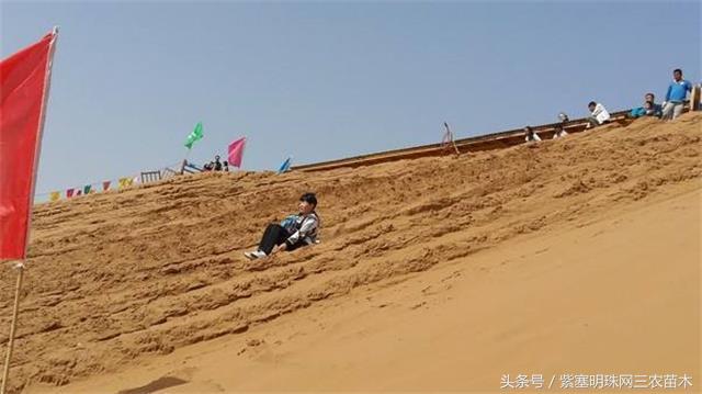 南戴河*哥涛**农家院（成杰宾馆）云烟天外黄金缕，渔火滩头绿酒家！