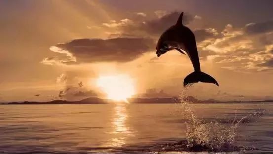 閭ｇ惔鍗婂矝涓ゅぉ娓哥帺璺嚎鎺ㄨ崘,閭ｇ惔鍗婂矝鍦拌川娴锋磱鍏洯娓哥帺鏀荤暐