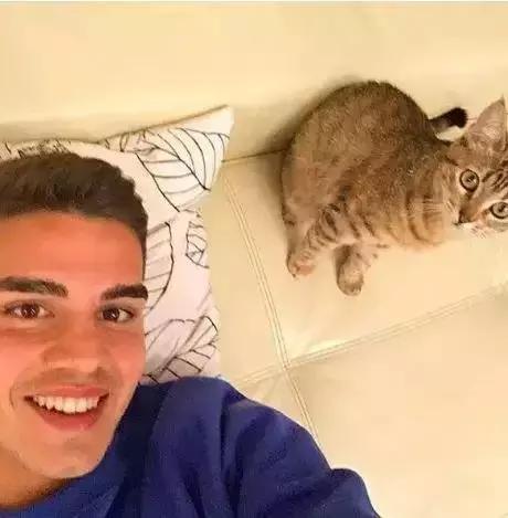 世界杯伪球迷说说,世界杯伪球迷段子