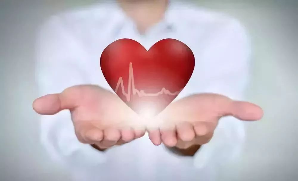 ai芯片独角兽基金,ai芯片独角兽寒武纪影子公司