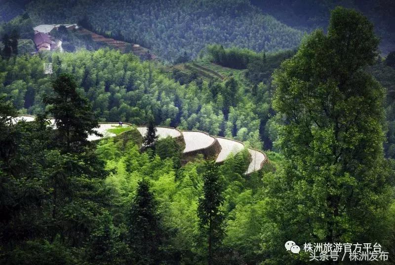 株洲很梦幻的地方,株洲旅游必去十大景点