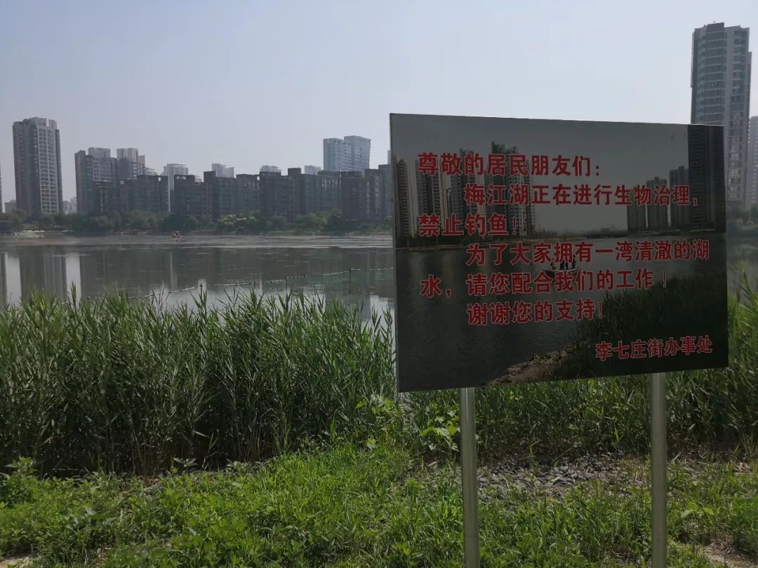 沿湖而建的烦恼！天津的这几个小区入夏后时常被蚊蝇骚扰……