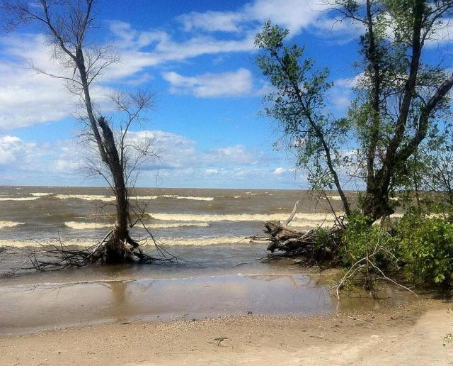 希望每个冬天都来三亚看海踏浪,加拿大好玩的海滩