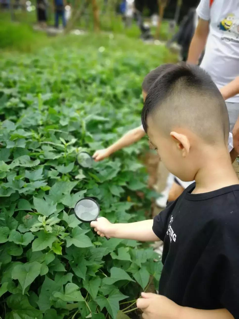 “回趣童真，weare伐木累”乔森驾校亲子活动