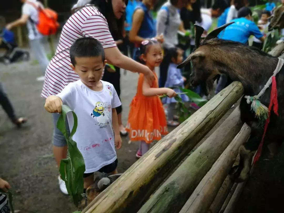“回趣童真，weare伐木累”乔森驾校亲子活动