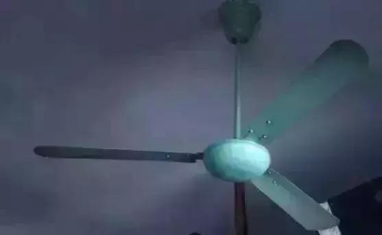 夏日季丨“扇”风也“扇”情