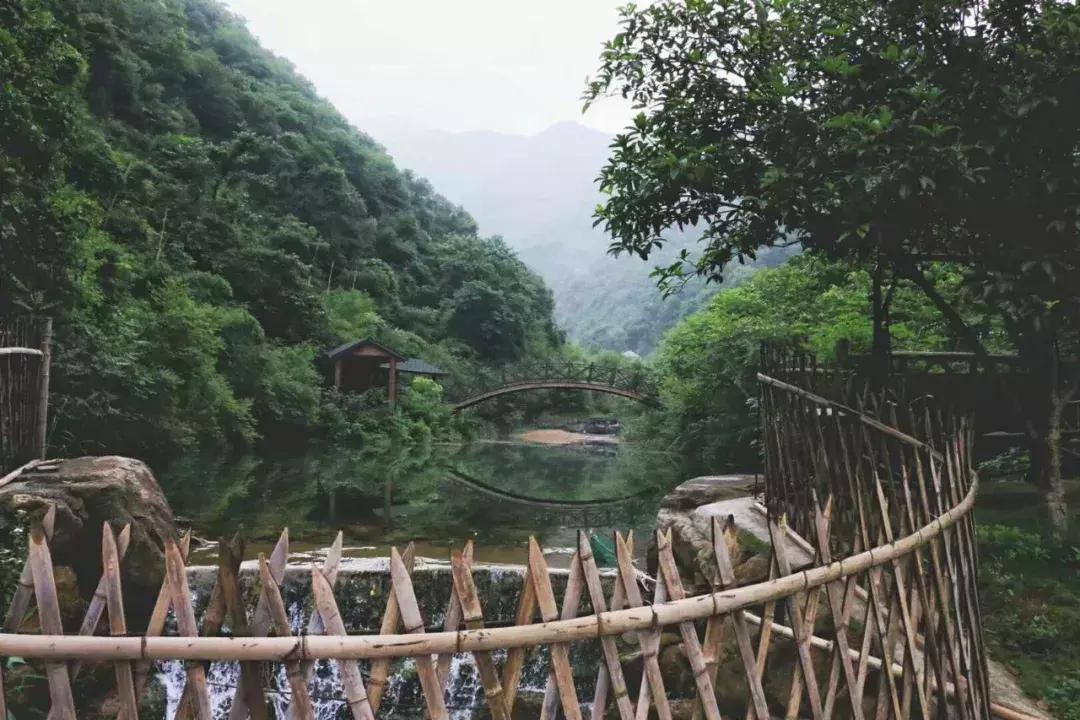 蓝宝书好吗,浙江民宿经营现状