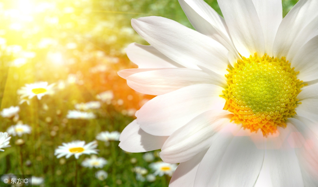 女人越老越好命的原因,女人长命秘诀