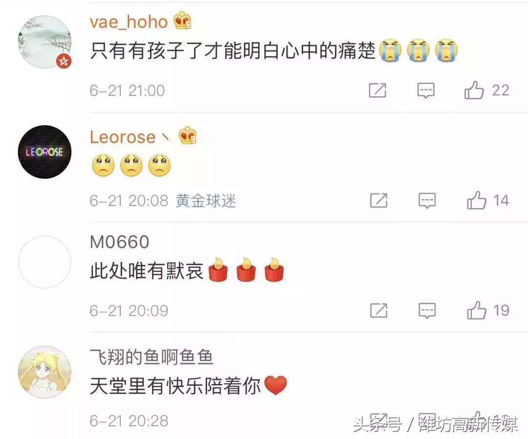 青岛四岁女童小九月捐献器官,青岛4岁女孩捐器官救5个家庭